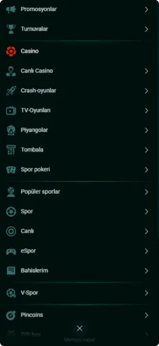 Pinco menu