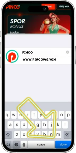 Pinco done