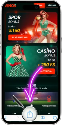 Pinco share