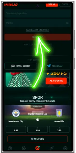 Login Pinco account