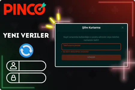 Pinco giris islemleri